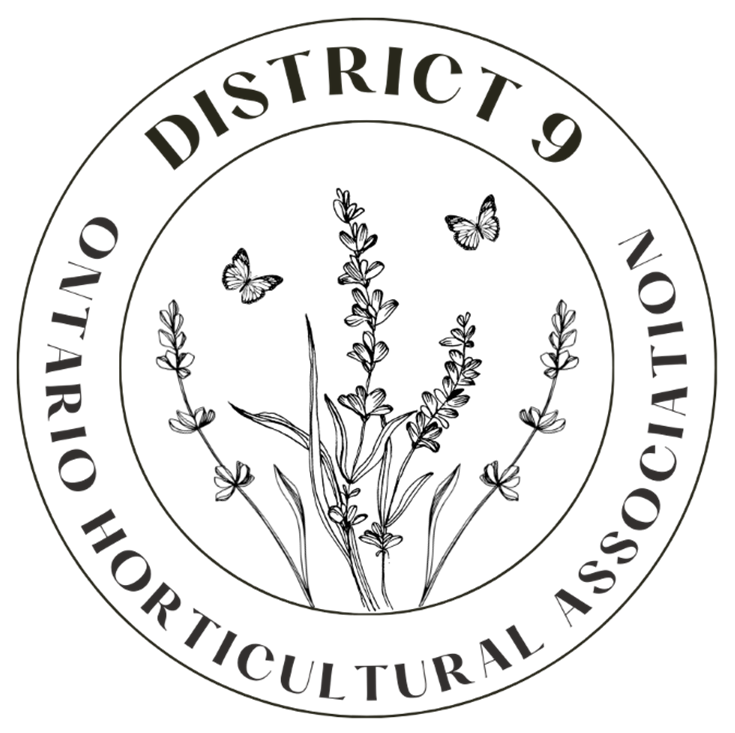 District 9 Circle Logo12